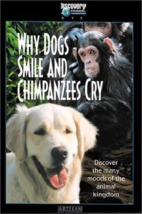 Why Dogs Smile and Chimpanzees Cry